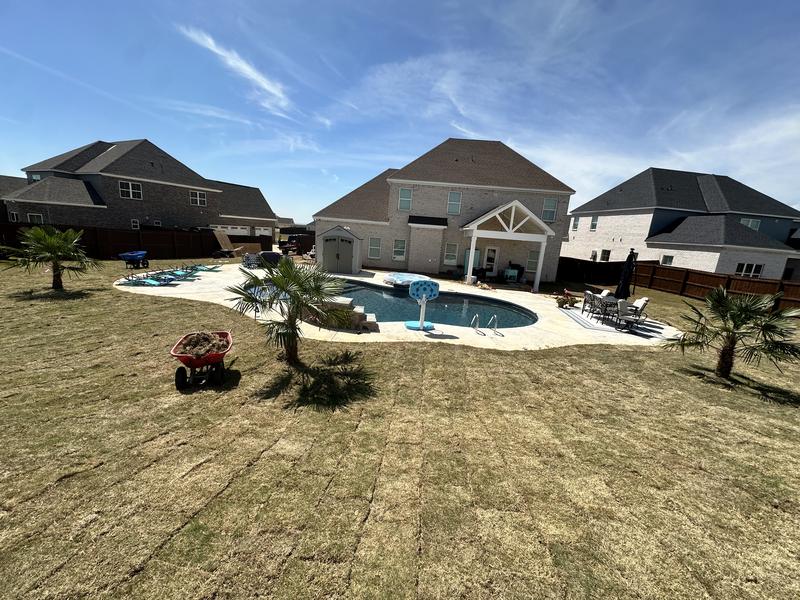 Backyard pool palm tree installation Pike Road AL